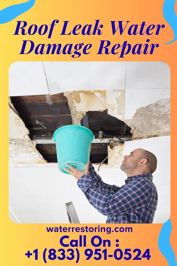 Roof Leak Water Damage Repair in Welton, IA