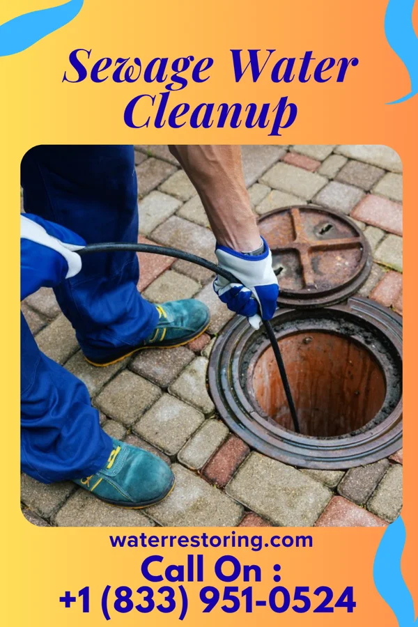 Sewage Water Cleanup in Welton, IA